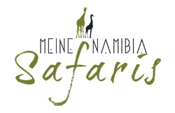 Explore-Africa-Group-Meine_Namibia_Safaris_map_africa